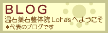 Ζΐ̉@ Lohasւ悤A\̃uO